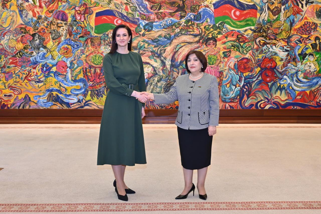 Обсуждено развитие сотрудничества между парламентами Азербайджана и Литвы