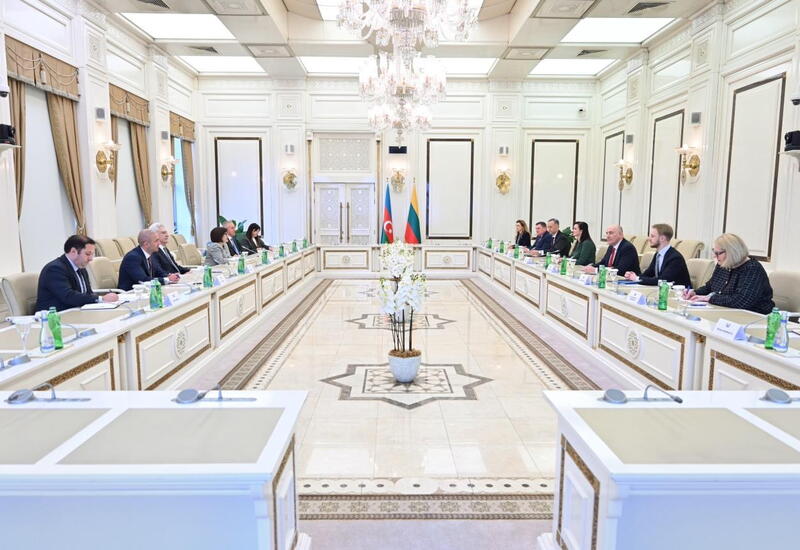 Обсуждено развитие сотрудничества между парламентами Азербайджана и Литвы