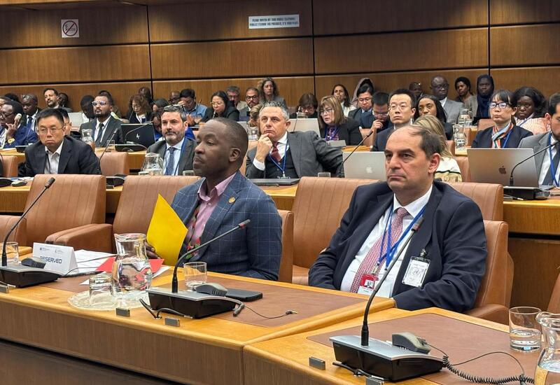 В Вене представлены инициативы Азербайджана в сфере "зеленой" энергетики