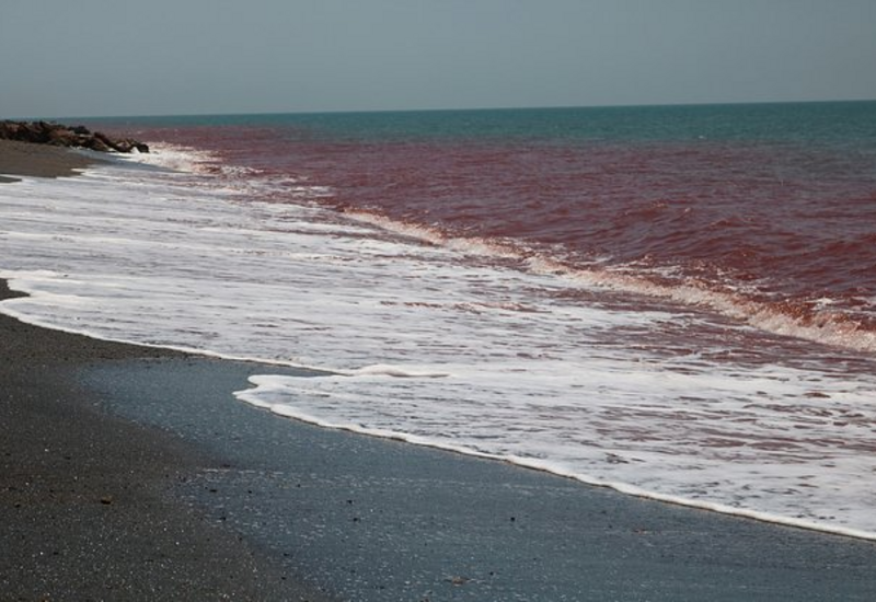 Иран обвинили в удержании мировой экономики в заложниках