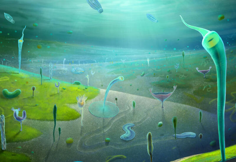 Новая находка ученых в Китае перевернула представления об эволюции живых существ