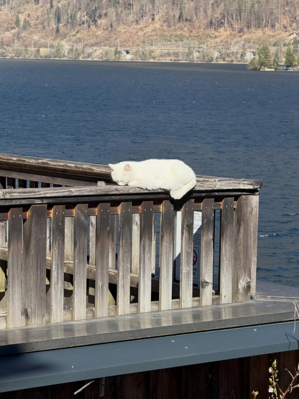 Кифа Нури в сказочном Гальштате