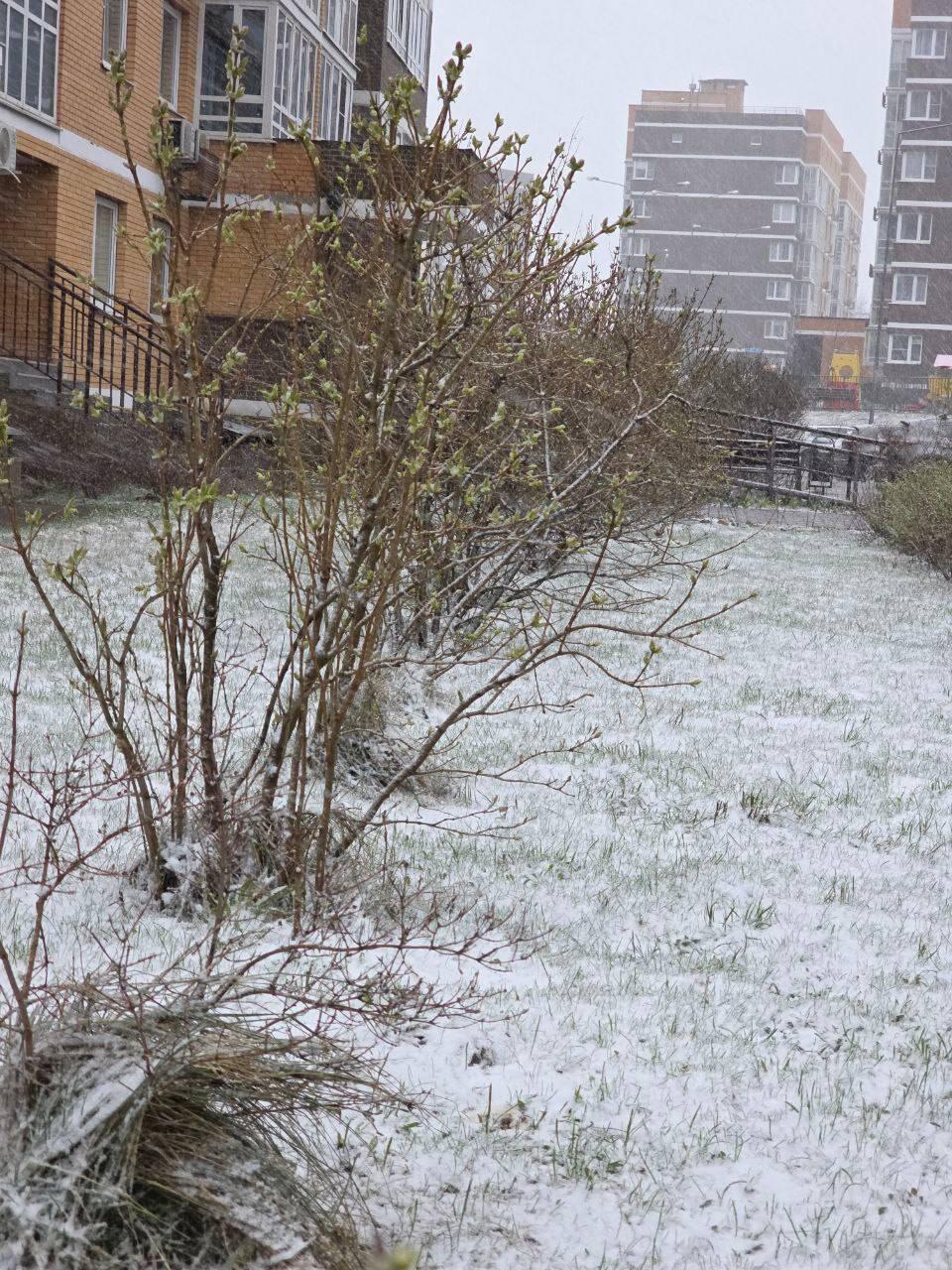 Снегопады в Москве