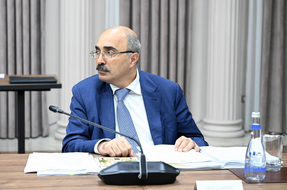 İqtisadi Şuranın növbəti iclası keçirilib