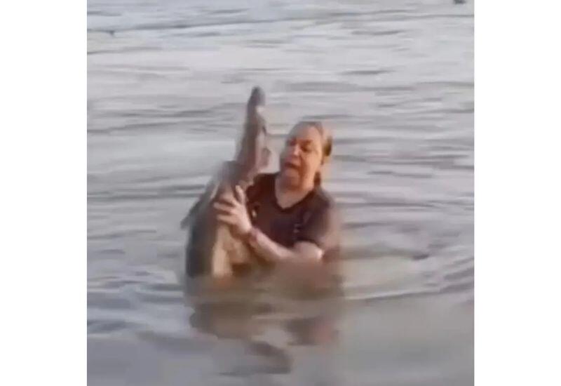 Женщина перепутала бревно в воде с аллигатором и попала на видео