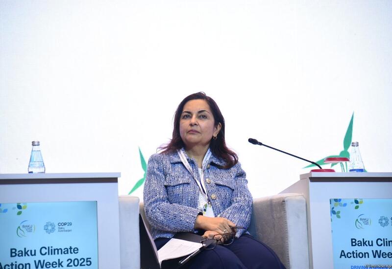 AİB Azərbaycan hökuməti ilə aqrar sektorda əməkdaşlıqda maraqlıdır