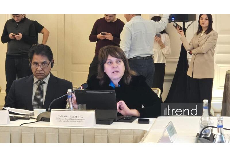 Азербайджан подготовил проект стратегии низкоуглеродного развития