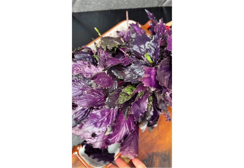 Как приготовить долму в листьях базилика