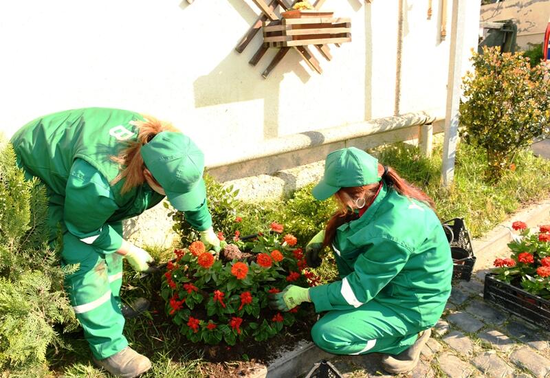 Paytaxtın qəsəbələrində iməclik keçirilib