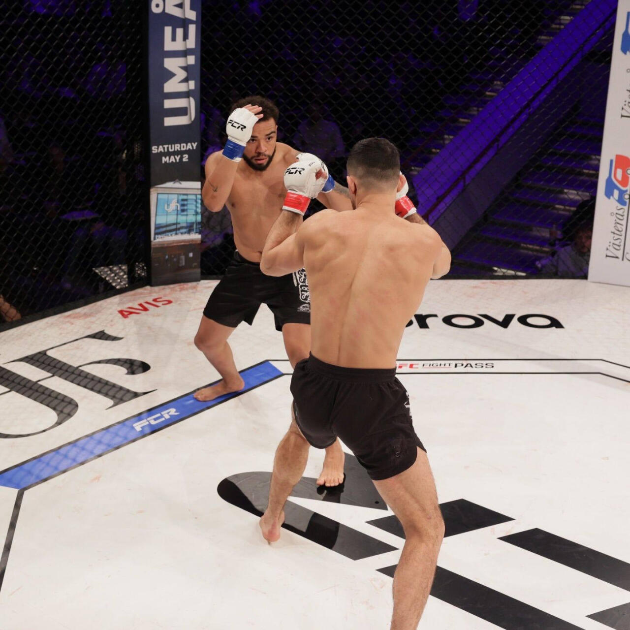 Азербайджанский боец ММА победил на турнире в Швеции