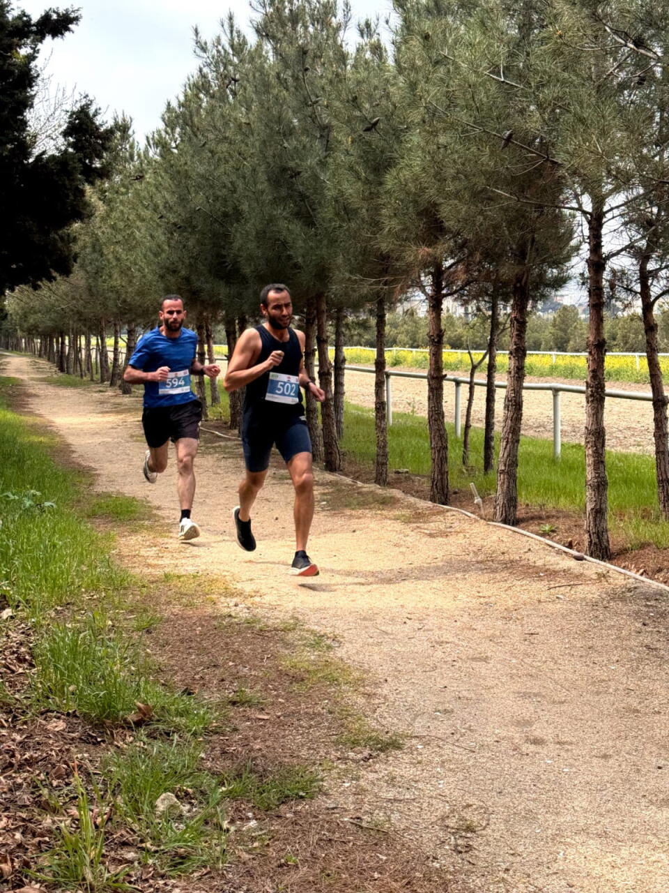 В Азербайджане прошел чемпионат страны по кроссу