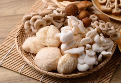 Как отличить съедобный гриб от несъедобного: <span class="color_red">советы эксперта</span>