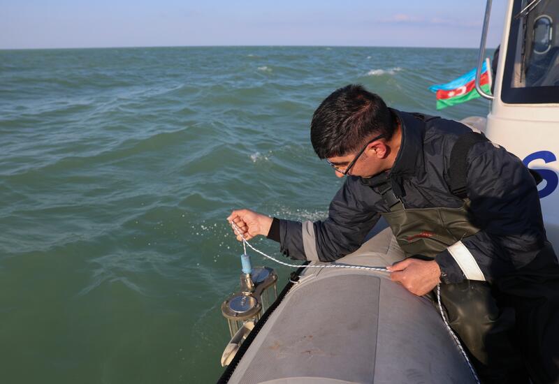 Xəzər dənizində çirklənmə səviyyəsi araşdırılır