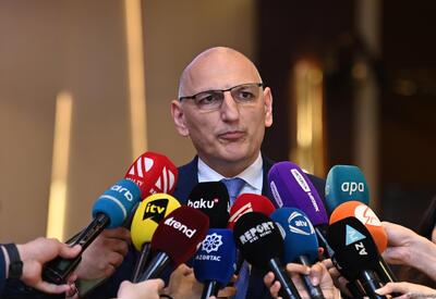 Азербайджан видит потенциал для расширения энергосотрудничества с Чехией - Эльчин Амирбеков