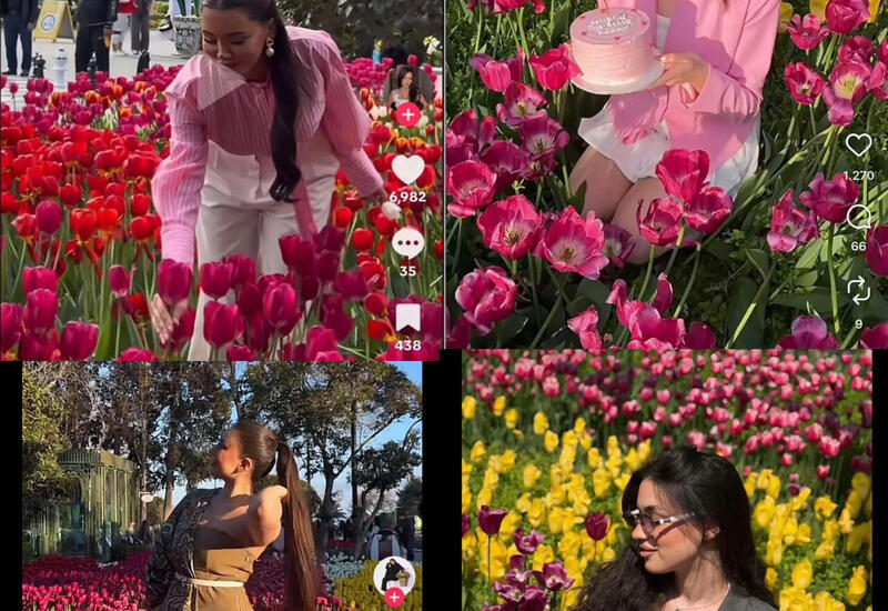 Повредившие цветы на бульваре оказались известными блогерами