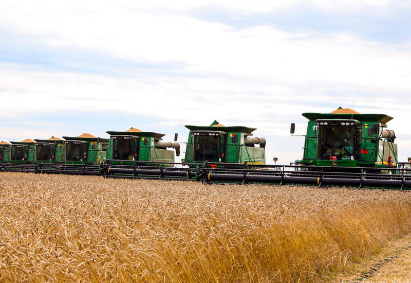 Названо число женщин-фермеров в Азербайджане