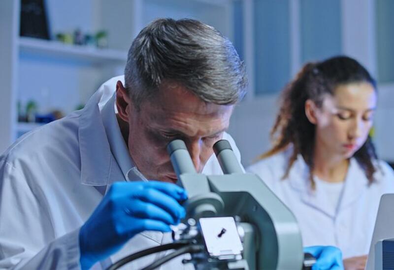 Раскрыт неочевидный способ замедления старения почек