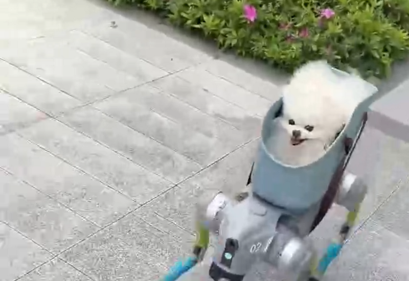 Робопес выгуливает собаку