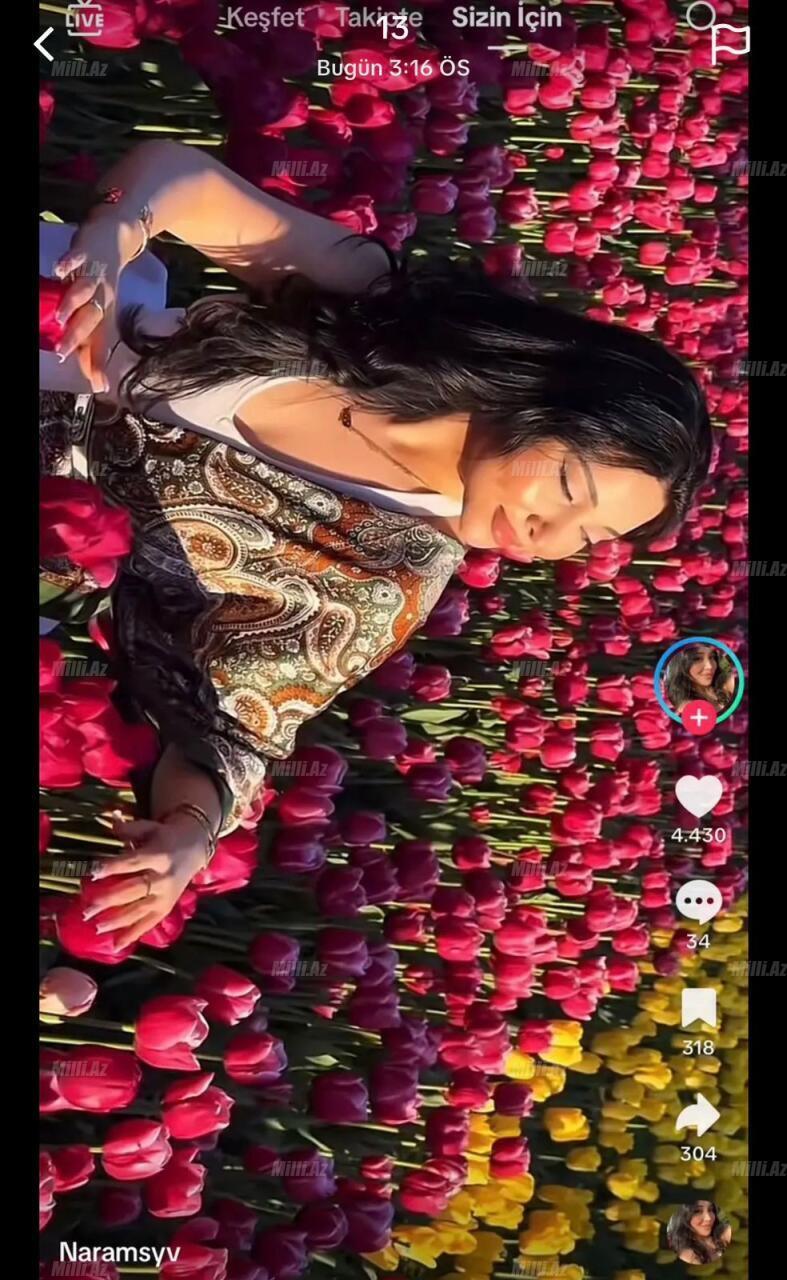 Повредившие цветы на бульваре оказались известными блогерами