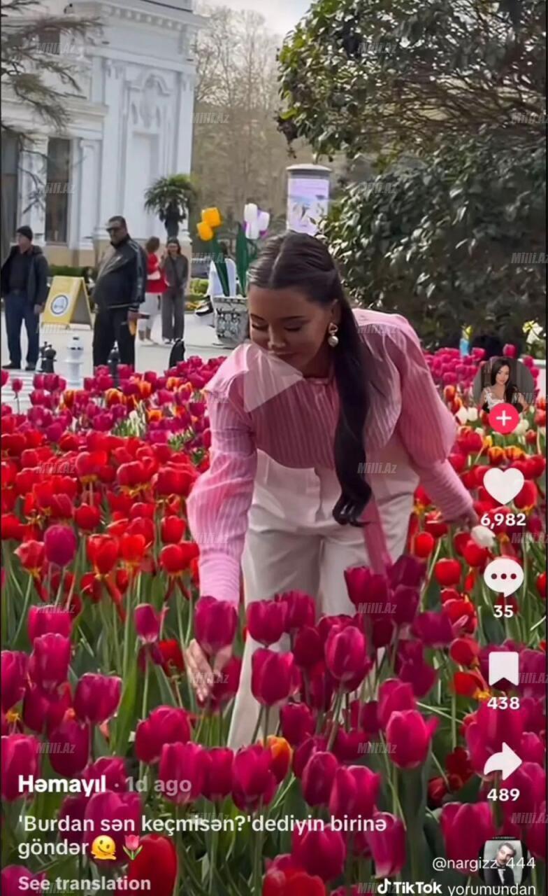 Повредившие цветы на бульваре оказались известными блогерами