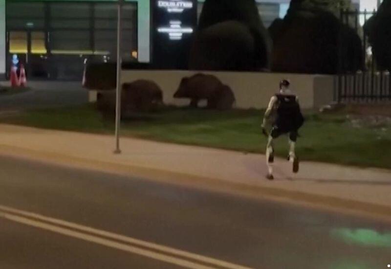 Человекоподобный робот стал звездой соцсетей