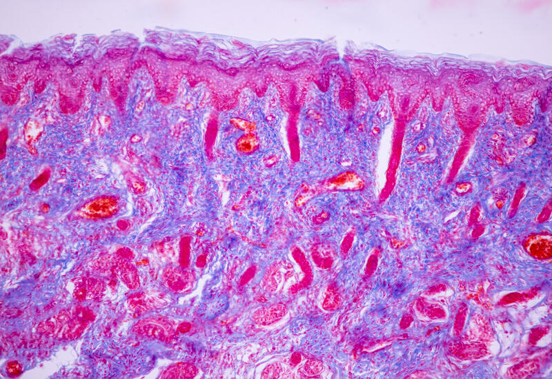 Стало известно, возможна ли жизнь на Марсе
