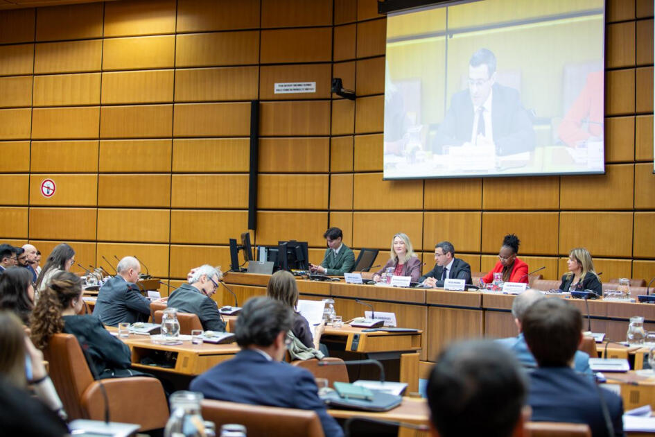 Подготовка к WUF13 и ключевые цели сессии обсуждались в Вене