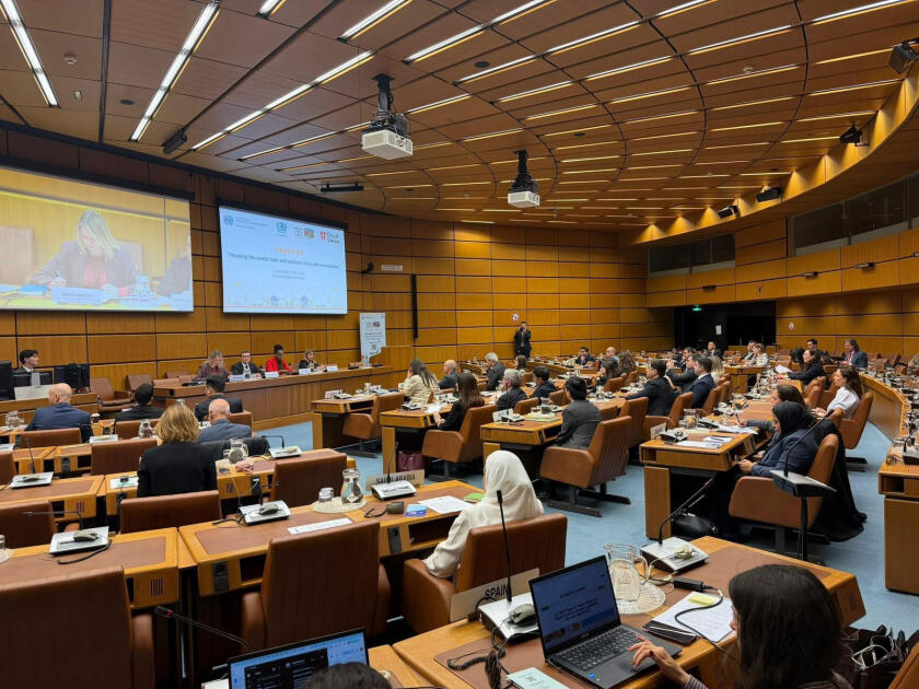 Подготовка к WUF13 и ключевые цели сессии обсуждались в Вене