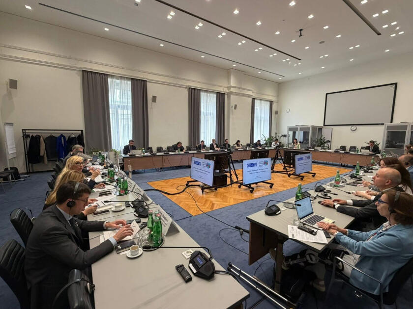 Подготовка к WUF13 и ключевые цели сессии обсуждались в Вене