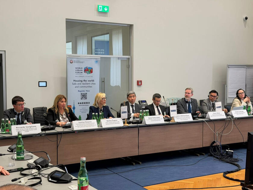 Подготовка к WUF13 и ключевые цели сессии обсуждались в Вене