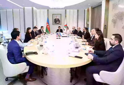 SOCAR и США обсудили расширение энергосотрудничества и развитие проекта TRIPP