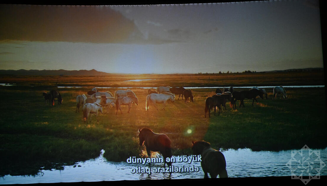 Nizami Kino Mərkəzində “At gücü” sənədli filmi təqdim olunub