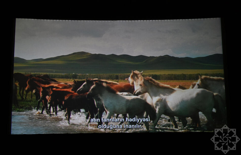 Nizami Kino Mərkəzində “At gücü” sənədli filmi təqdim olunub
