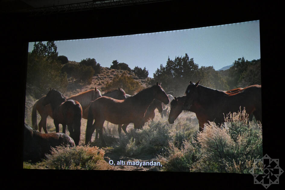 Nizami Kino Mərkəzində “At gücü” sənədli filmi təqdim olunub