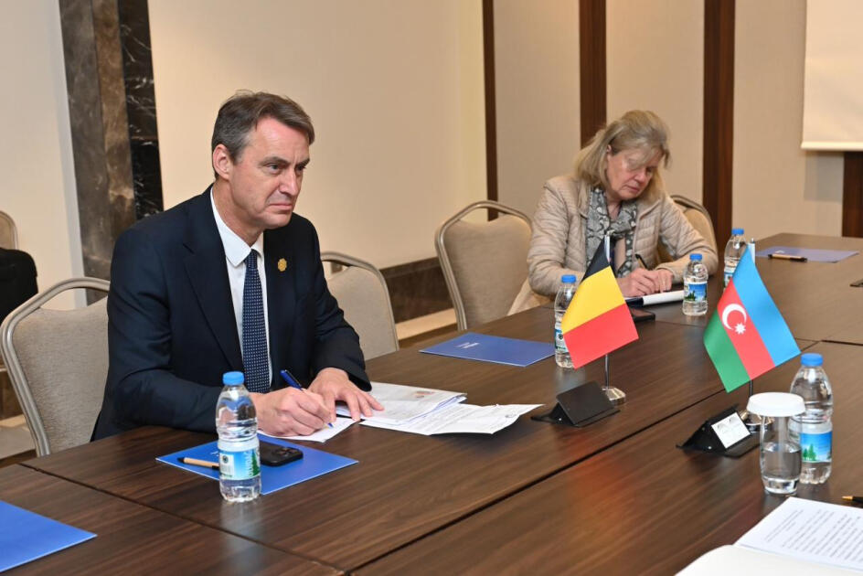 Sahibə Qafarova belçikalı həmkarına Azərbaycan-Ermənistan normallaşma prosesi barədə məlumat verib