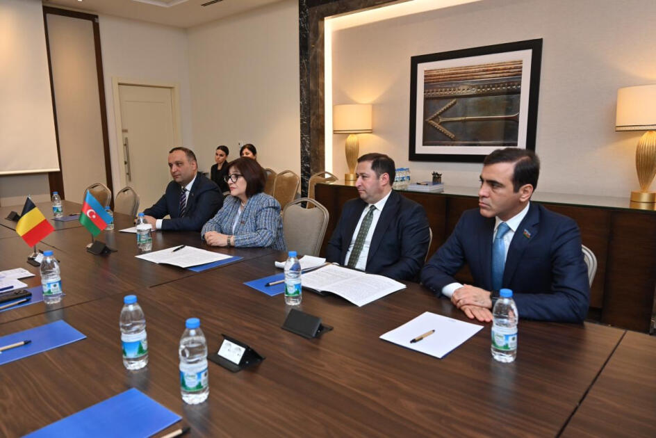 Sahibə Qafarova belçikalı həmkarına Azərbaycan-Ermənistan normallaşma prosesi barədə məlumat verib