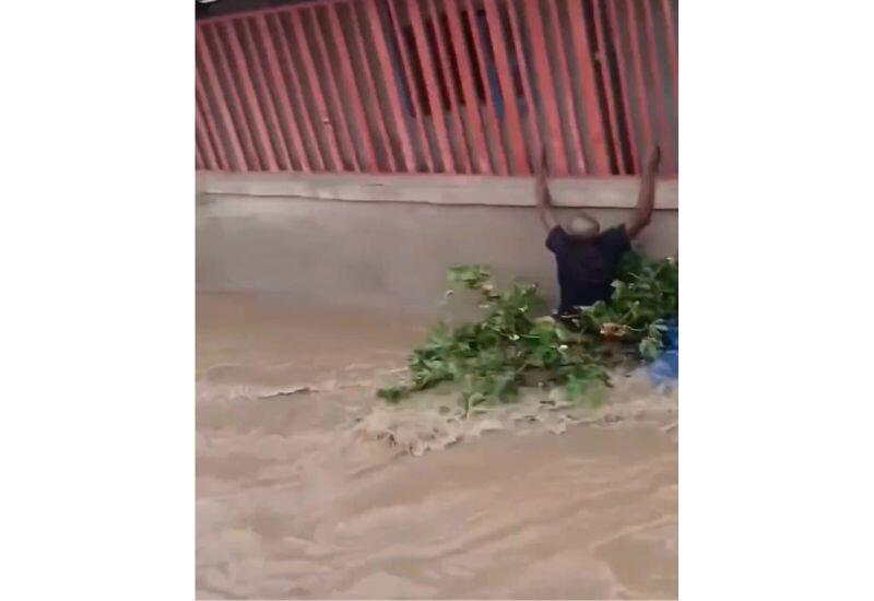 Наводнение в Анголе: