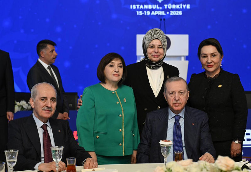 Sahibə Qafarova Türkiyə Prezidenti ilə görüşdə iştirak edib