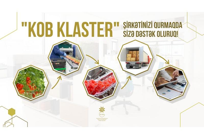 Klasterləşmə – sahibkarlar üçün imkanlar və perspektivlər