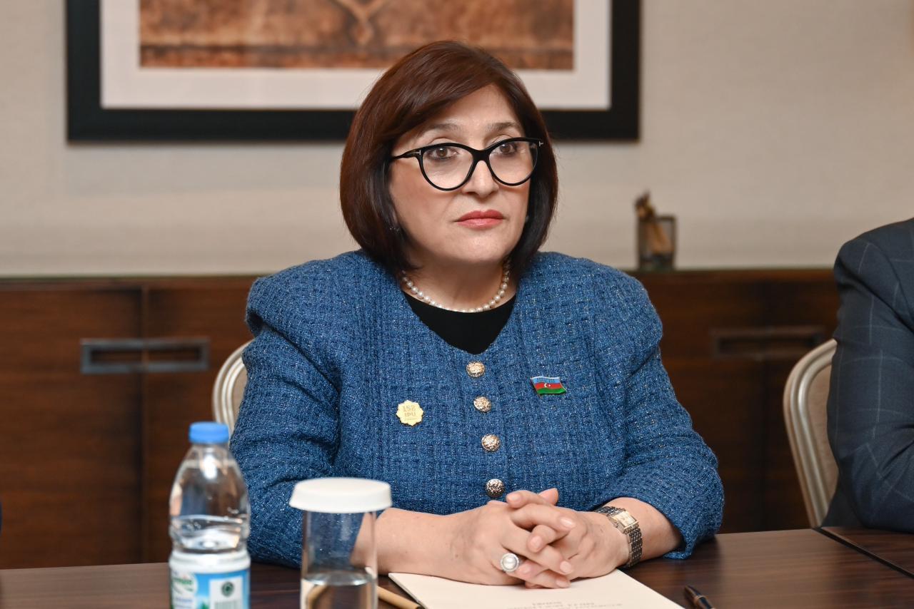 Сахиба Гафарова встретилась с председателем парламента Грузии