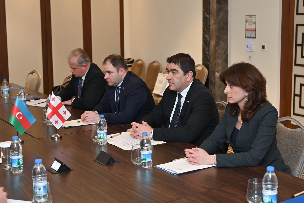 Сахиба Гафарова встретилась с председателем парламента Грузии