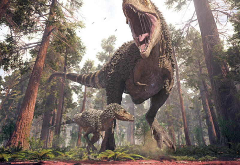 Ученые все это время ошибались насчет тираннозавров