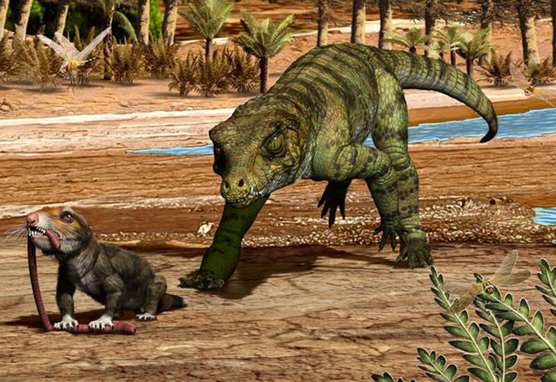 Ученые все это время ошибались насчет тираннозавров