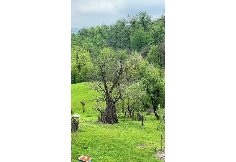 В каком районе Азербайджана это прекрасное место?