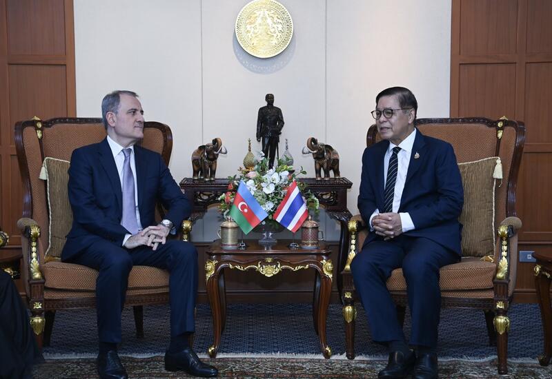 Джейхун Байрамов на переговорах с министром иностранных дел Таиланда