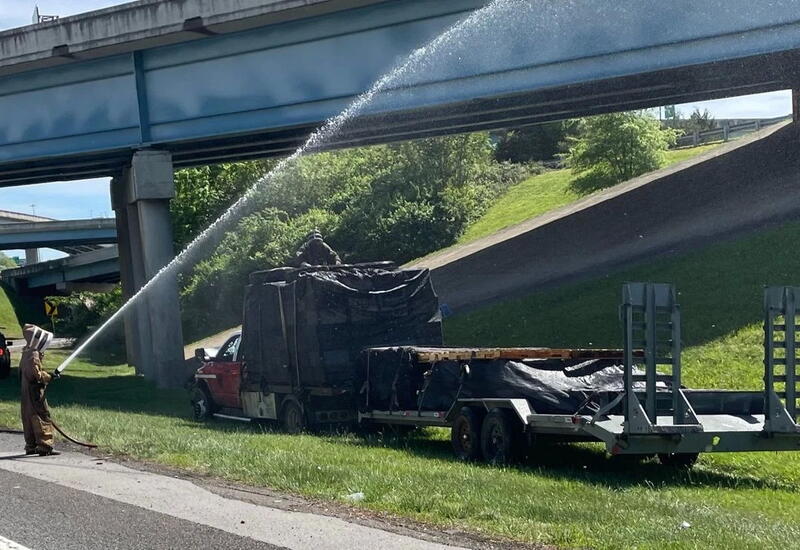 Грузовик с миллионом пчел попал в ДТП в США