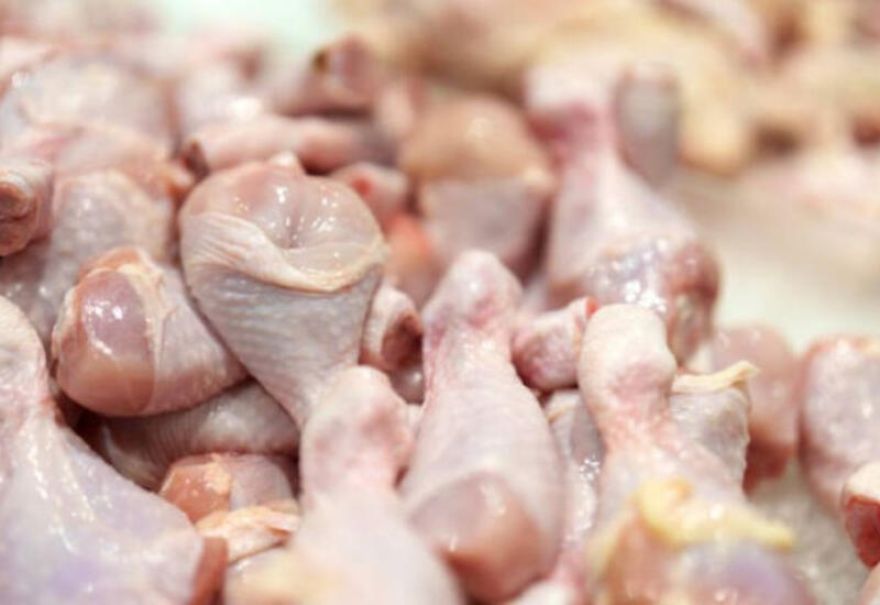 В ввезенной в Азербайджан куриной продукции обнаружена бактерия