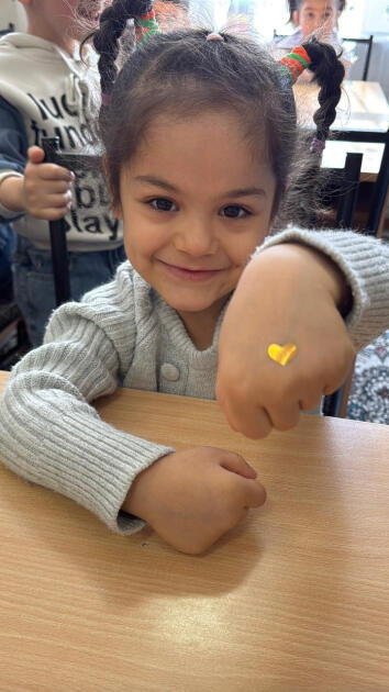 Leyla Əliyevanın təşəbbüsü ilə sosial xidmət müəssisələrinin uşaqları üçün sosial-emosional öyrənmə proqramı həyata keçirilir