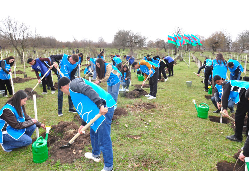 В селе Шахдаг Гядабейского района высажено более 6500 саженцев