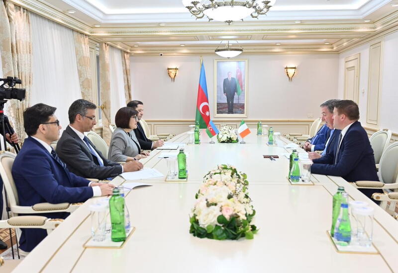 Сахиба Гафарова встретилась с членами межпарламентской группы дружбы Ирландия-Азербайджан